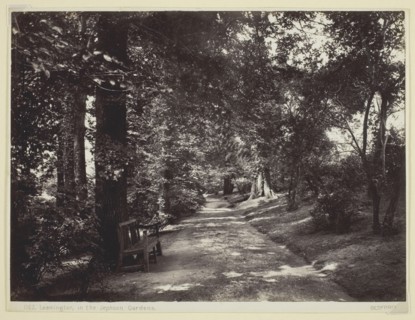 Leamington, in the Jephson Gardens, 1860/94. Creator: Francis Bedford.