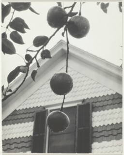 Gable and Apples, 1922. Creator: Alfred Stieglitz.