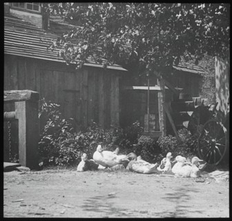 Gutach, 1894. Creator: Alfred Stieglitz.