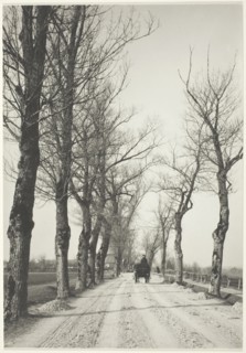 November Days, 1887, printed 1920/39. Creator: Alfred Stieglitz.