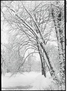 Snowscape, Berlin, 1888/92. Creator: Alfred Stieglitz.