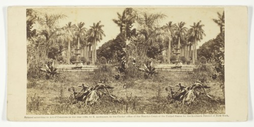 View at the Bishop's Garden, Havana, 1860. Creator: Anthony & Company.