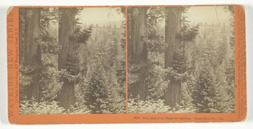 Vine Hill from Magnetic Springs. Santa Cruz Co., Cal., 1878/82. Creator: Carleton Emmons Watkins.