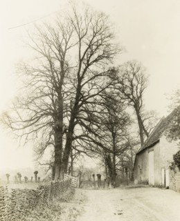 Kelmscott Manor: Road and Entrance, 1896. Creator: Frederick Henry Evans.
