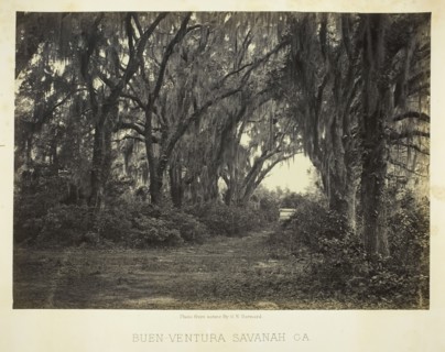 Buen-Ventura Savannah, Ga., 1866. Creator: George N. Barnard.