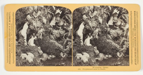 Frightened most to death, 1870/89. Creator: Henry Hamilton Bennett.