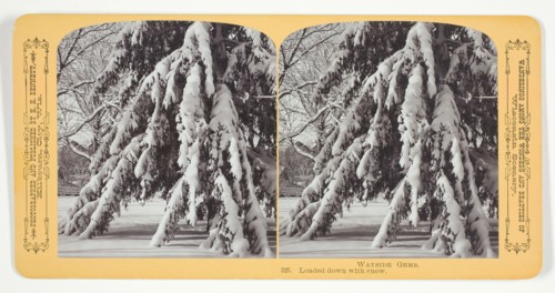 Loaded down with snow, 1870/89. Creator: Henry Hamilton Bennett.