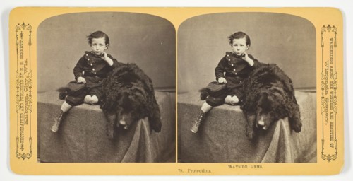 Protection, 1870/89. Creator: Henry Hamilton Bennett.