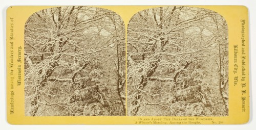 A Winter's Morning. Among the Boughs, 1870/1908. Creator: Henry Hamilton Bennett.