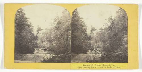 Buttermilk Creek, Ithaca, N.Y. View looking down 1st and 2d Falls, 207 feet, 1860/65. Creator: J. C. Burritt.