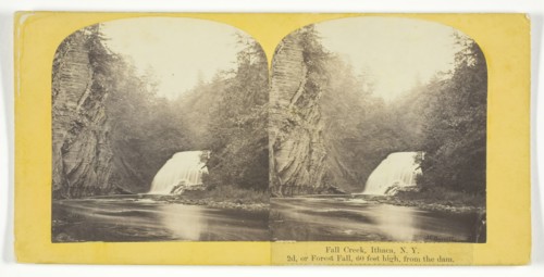 Fall Creek, Ithaca, N.Y. 2d, or Forest Fall, 60 feet high, from the dam, 1860/65. Creator: J. C. Burritt.