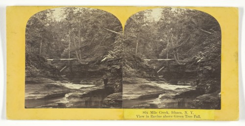 Six Mile Creek, Ithaca, N.Y. View in Ravine above Green Tree Fall, 1860/65. Creator: J. C. Burritt.