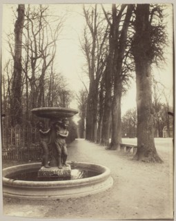 Versailles, Coin de Parc, 1902. Creator: Eugene Atget.