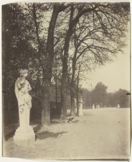 Versailles, Coin de Parc, 1904. Creator: Eugene Atget.