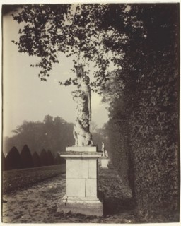 Versailles, Coin de Parc, 1904. Creator: Eugene Atget.