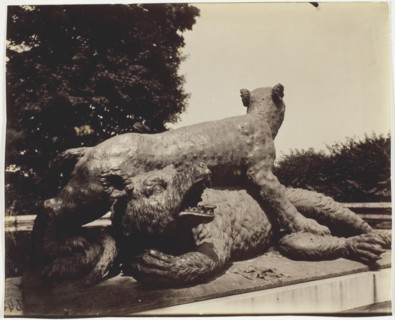 Versailles, Fontaine du Point du Jour, (Tigre Terrassant un Ours par Houzeau), 1903. Creator: Eugene Atget.