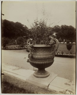 Versailles, Vase par Ballin, 1902. Creator: Eugene Atget.