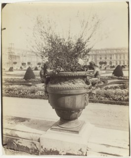 Versailles, Vase par Ballin, 1902. Creator: Eugene Atget.