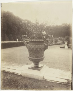 Versailles, Vase par Ballin, 1902. Creator: Eugene Atget.