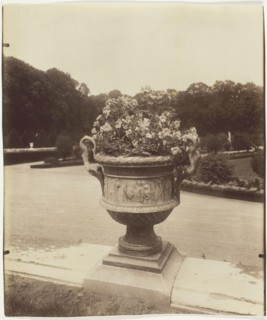 Versailles, Vase par Ballin, 1902. Creator: Eugene Atget.