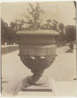 Versailles, Vase par Ballin, 1905. Creator: Eugene Atget.