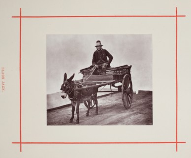 Black Jack, 1877. Creator: John Thomson.