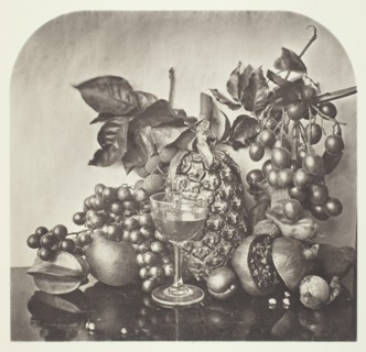 Fruit, c. 1868. Creator: John Thomson.