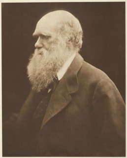 Charles Darwin, c. 1868, printed 1875. Creator: Julia Margaret Cameron.