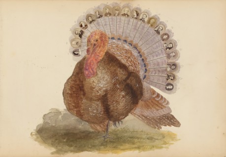 The Madame B Album, 1870s. Creator: Marie Blanche Hennelle Fournier.