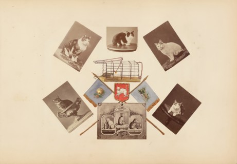 The Madame B Album, 1870s. Creator: Marie Blanche Hennelle Fournier.