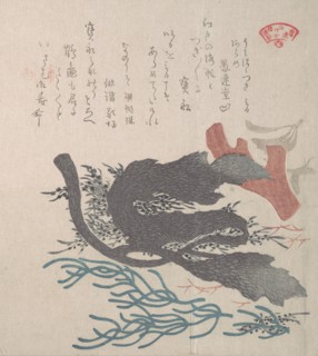 Various Seaweed, 19th century. Creator: Kubo Shunman.