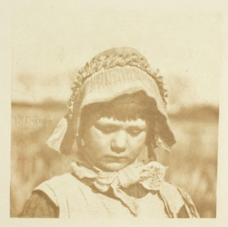 A Norfolk Flower, 1883/87, printed 1888. Creator: Peter Henry Emerson.