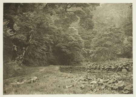 A Quiet Nook in Beresford Dale, 1880s. Creator: Peter Henry Emerson.