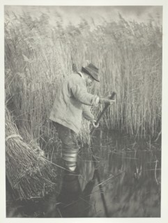 A Reed-Cutter at Work, 1886. Creator: Peter Henry Emerson.