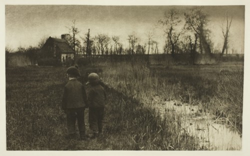 A Toad in the Path: Early Spring in Norfolk, c. 1883/87, printed 1888. Creator: Peter Henry Emerson.