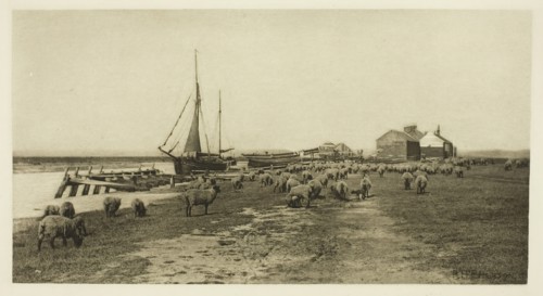 Blackshore, River Blythe (Suffolk), c. 1883/87, printed 1888. Creator: Peter Henry Emerson.