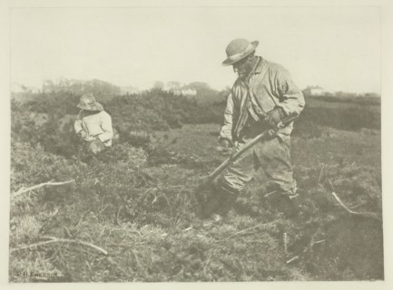 Furze-Cutting on a Suffolk Common, c. 1883/87, printed 1888. Creator: Peter Henry Emerson.
