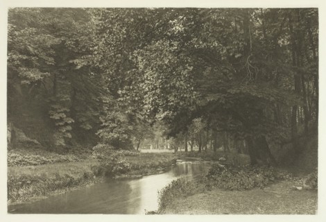 In Beresford Dale, 1880s. Creator: Peter Henry Emerson.