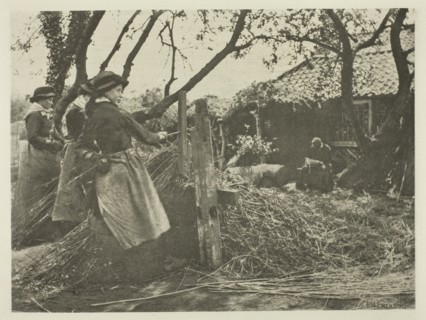 Osier-Peeling (Norfolk), c. 1883/87, printed 1888. Creator: Peter Henry Emerson.