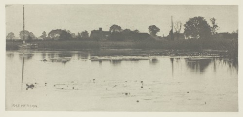 The Fringe of the Mere, c. 1883/87, printed 1888. Creator: Peter Henry Emerson.