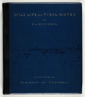 Wild Life on a Tidal Water: The Adventures of a House-Boat and Her Crew, 1890. Creator: Peter Henry Emerson.
