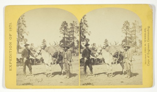 Mountain transportation. Pack mule, Pack and Packers, 1871. Creator: Tim O'Sullivan.