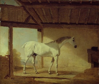 The Earl of Coventry's Horse, 1805. Creator: Benjamin Marshall.