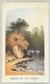 Abode of the Swans, from the series, Views in Central Park, New York, Part 2, 1864. Creator: Louis Prang.