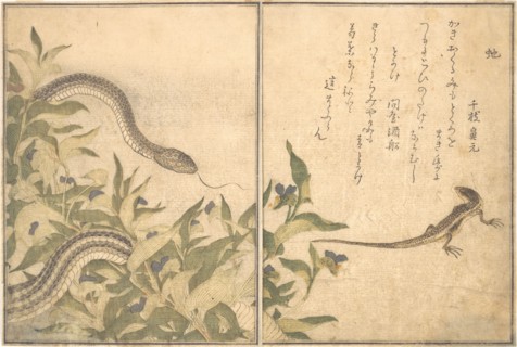 Rat Snake (Hebi); Lizard or Skink (Tokage)..., 1788. Creator: Kitagawa Utamaro.