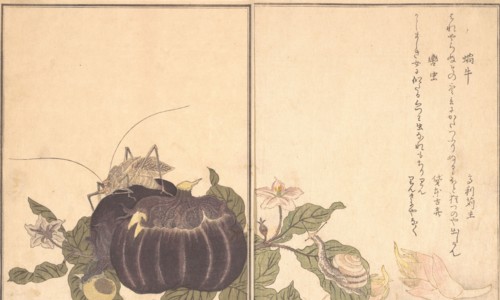 Land Snail (Katatsumuri); Giant Katydid (Kutsuwamushi) ..., 1788. Creator: Kitagawa Utamaro.