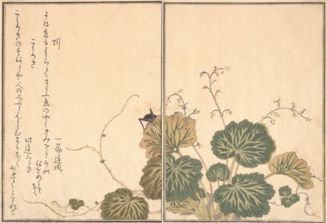 Earthworm (Mimizu); Cricket (Korogi)..., 1788. Creator: Kitagawa Utamaro.