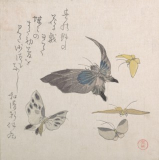 Butterflies, 19th century. Creator: Kubo Shunman.
