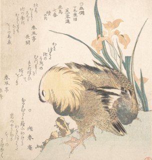 Pair of Mandarin Ducks and Iris Flowers, late 18th-early 19th century. Creator: Kubo Shunman.