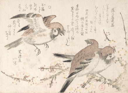Sparrows and Plum Blossoms, 19th century. Creator: Kubo Shunman.